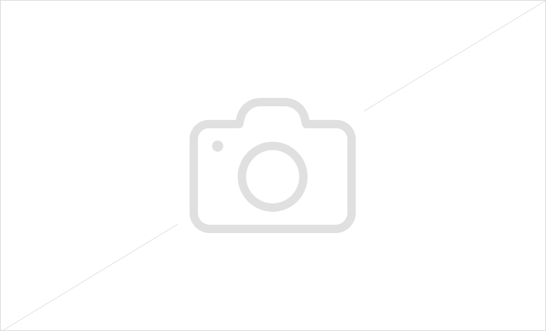 photo_effectif_Danemark