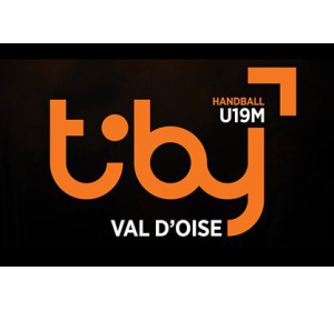 ALL MATCHES TIBY2018
