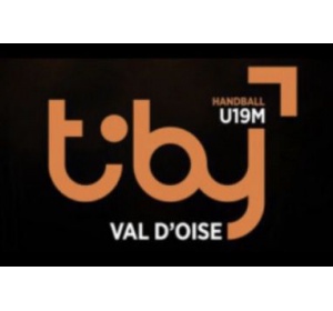 HIGHLIGHTS TIBY 2021