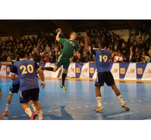 France - Hongrie 2015