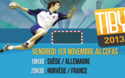Vendredi 1 novembre 2013 - 18h30 : Suède / Allemagne