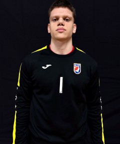 Šaric Antun