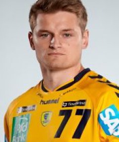 SCHMIDT David