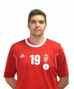 ROSTA Miklós
