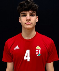 Horváth David