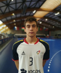 MOTA Dinis