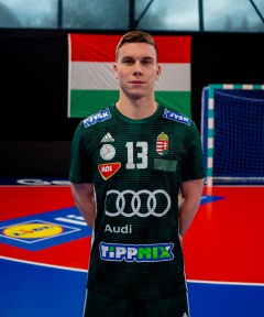 Sisa Erhard