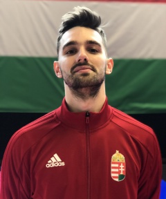 KERKOVITS Gyula