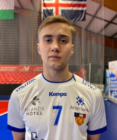 ERLINGSSON ELMAR