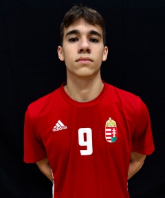Bredák Dominik