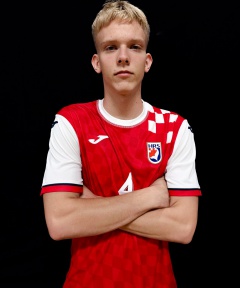 Vidovic Ivor