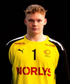 KAUFMANN Nikolai