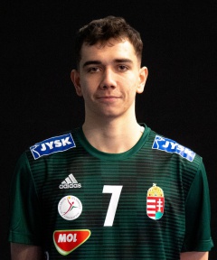 TERJÉK Roland