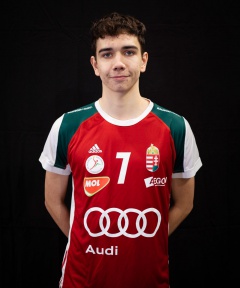TERJEK ROLAND