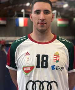 VAJDA Huba