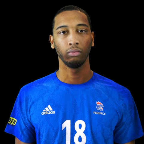 IMARE Edson