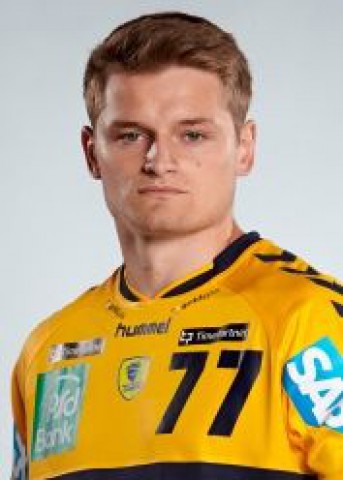 SCHMIDT David