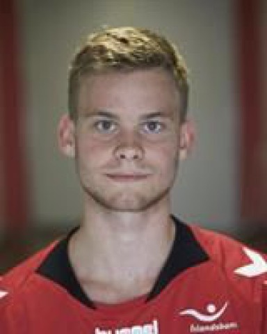 HAUKSSON VILHJALMUR GEIR