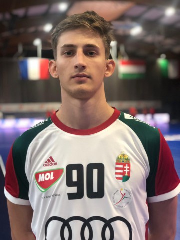 GELLERT DRASKOVICS