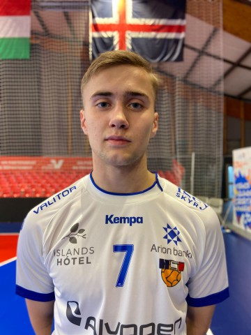 ERLINGSSON ELMAR