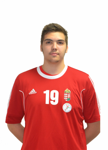 ROSTA Miklós