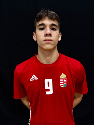 Bredák Dominik