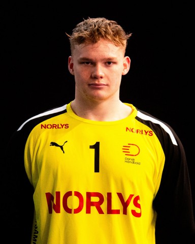 KAUFMANN Nikolai