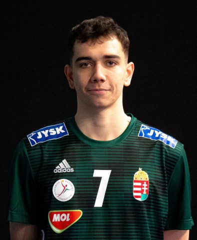 TERJÉK Roland