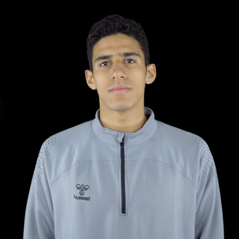 AHMED WAHBA Mohamed
