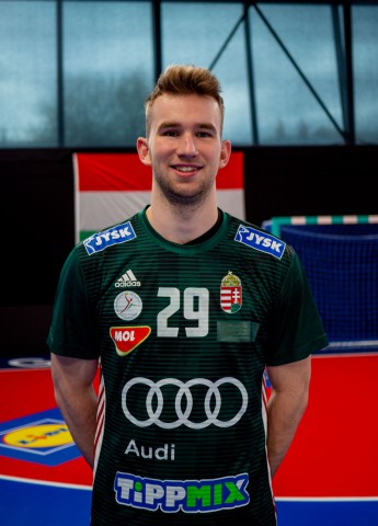 Ludman Marcell Csaba